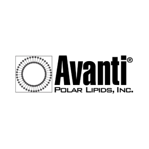 Avanti