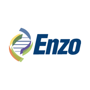 Enzo